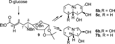 Graphical abstract: Efficient synthesis of (+)-1,8,8a-tri-epi-swainsonine, (+)-1,2-di-epi-lentiginosine, (+)-9a-epi-homocastanospermine and (−)-9-deoxy-9a-epi-homocastanospermine from a d-glucose-derived aziridine carboxylate, and study of their glycosidase inhibitory activities