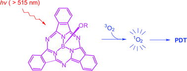Graphical abstract: Synthesis, photophysical properties and in vitro photodynamic activity of axially substituted subphthalocyanines