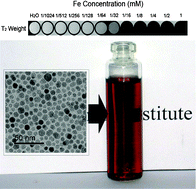 Graphical abstract: Monodisperse water-soluble magnetite nanoparticles prepared by polyol process for high-performance magnetic resonance imaging