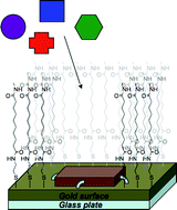 Graphical abstract: The development of yoctowells as a basis for modeling biological systems