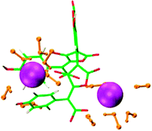 Graphical abstract: Conformational and Cs+ complexation properties of norbadione-A: a molecular modeling study