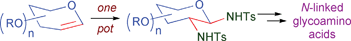 Graphical abstract: A versatile strategy for the synthesis of N-linked glycoamino acids from glycals