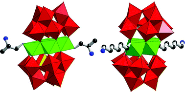 Graphical abstract: Two extended structures constructed from sandwich-type polyoxometalates functionalized by organic amines