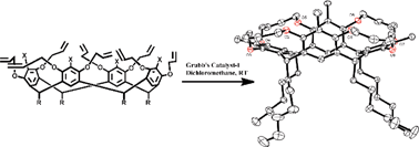 Graphical abstract: Synthesis of resorcin[4]arene cavitands by ring-closing metathesis