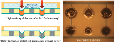 Graphical abstract: A light writable microfluidic “flash memory”: Optically addressed actuator array with latched operation for microfluidic applications