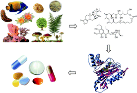 Graphical abstract: Natural products: chemical instruments to apprehend biological symphony