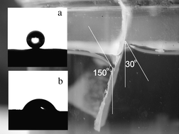 Graphical abstract: Janus silica film with hydrophobic and hydrophilic surfaces grown at an oil–water interface