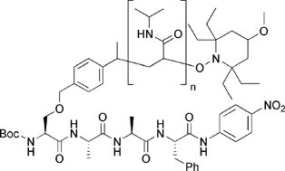 Graphical abstract: Reversible switching of substrate activity of poly-N-isopropylacrylamide peptide conjugates