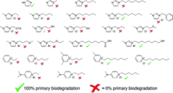 Graphical abstract: Primary biodegradation of ionic liquid cations, identification of degradation products of 1-methyl-3-octylimidazolium chloride and electrochemical wastewater treatment of poorly biodegradable compounds