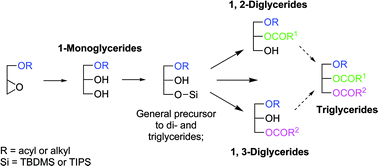 Graphical abstract: Regioselective and stereospecific acylation across oxirane- and silyloxy systems as a novel strategy to the synthesis of enantiomerically pure mono-, di- and triglycerides