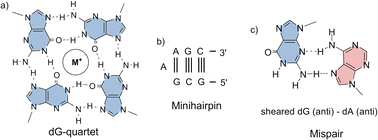 Graphical abstract: Mismatch formation in solution and on DNA microarrays: how modified nucleosides can overcome shortcomings of imperfect hybridization caused by oligonucleotide composition and base pairing