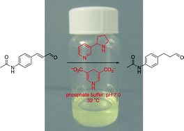 Graphical abstract: Nornicotine-organocatalyzed aqueous reduction of α,β-unsaturated aldehydes