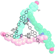 Graphical abstract: A highly rigid ditopic conjugate with orthogonal coordination axes and its zinc(ii) and copper(ii) complexes