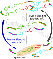 Graphical abstract: Crystallization-driven constitutional changes of dynamic polymers in response to neat/solution conditions