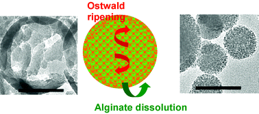 Graphical abstract: A green route to silica nanoparticles with tunable size and structure