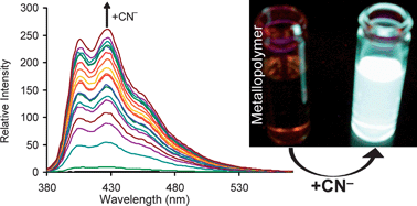 Graphical abstract: Photoluminescence and ion sensing properties of a bipyridyl chromophore-modified semifluorinated polymer and its metallopolymer derivatives