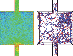 Graphical abstract: Flow of wormlike micelles in an expansion-contraction geometry