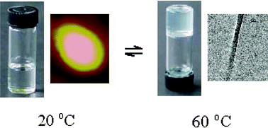 Graphical abstract: Heat-set gels and egg-like vesicles using two component gel system based on chiral calix[4]arenes