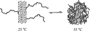 Graphical abstract: Functionalized carbon nanotubes responsive to environmental stimuli