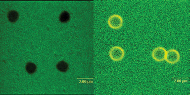 Graphical abstract: CO2-switchable oligoamine patches based on amino acids and their use to build polyelectrolyte containers with intelligent gating