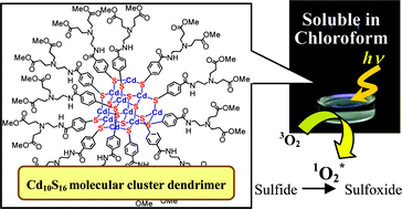 Graphical abstract: Preparation and photosensitizing property of novel Cd10S16 molecular cluster dendrimer
