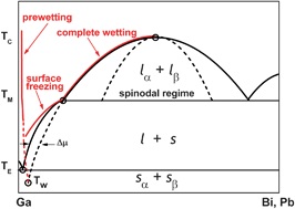 Graphical abstract: Interfacial phase transitions in conducting fluids