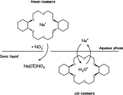 Graphical abstract: Stereochemical effects on the mode of facilitated ion transfer into room-temperature ionic liquids