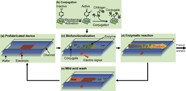 Graphical abstract: Programmable assembly of a metabolic pathway enzyme in a pre-packaged reusable bioMEMS device