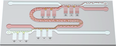 Graphical abstract: Dielectrophoresis-based particle exchanger for the manipulation and surface functionalization of particles