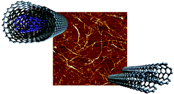 Graphical abstract: Carbon nanotubes as integrative materials for organic photovoltaic devices