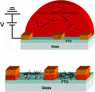 Graphical abstract: Patterning of [2.2]paracyclophane derivative modified single-walled carbon nanotubes through grid-assisted deposition