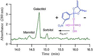 Graphical abstract: Electrokinetic probes for single-step screening of polyol stereoisomers: the virtues of ternary boronate ester complex formation