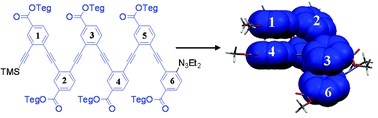 Graphical abstract: Extending helicity—capturing the helical character of longer ortho-phenylene ethynylene oligomers