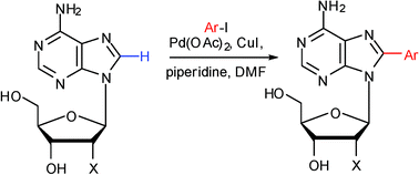 Graphical abstract: The first direct C–H arylation of purinenucleosides