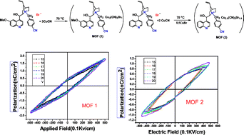 Graphical abstract: Ferroelectric metal–organic coordination polymer with a high dielectric constant