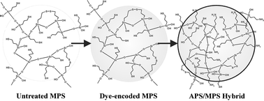 Graphical abstract: A structural study of hybrid organosilica materials for colloid-based DNA biosensors