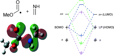 Graphical abstract: Multi-component orbital interactions during oxyacyl radical addition reactions involving imines and electron-rich olefins