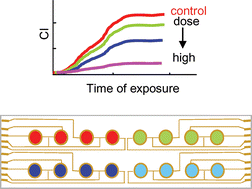Graphical abstract: Cell-electronic sensing of particle-induced cellular responses