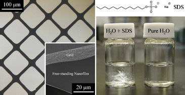 Graphical abstract: Supramolecular assemblies of surfactants and lipid derivatives on free-standing hybrid nanofilms