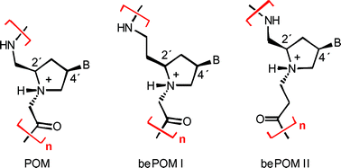 Graphical abstract: RNA-selective cross-pairing of backbone-extended pyrrolidine-amideoligonucleotide mimics (bePOMs)