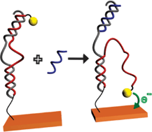 Graphical abstract: Stimuli-responsive surfaces for bio-applications