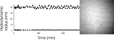 Graphical abstract: Long-lasting dashed waves in a reactive microemulsion