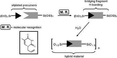 Graphical abstract: Organosilicas based on purine–pyrimidinebase pair assemblies: a solid state NMR point of view