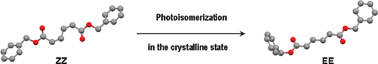 Graphical abstract: Direct observation of change in the molecular structure of benzyl (Z,Z)-muconate during photoisomerization in the solid state