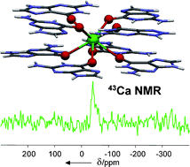 Graphical abstract: Direct NMR evidence for Ca2+ ion binding to G-quartets