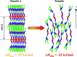 Graphical abstract: Thermodynamics of dimerization in solution as a rational tool for inducing nematic vs. smectic organizations in lanthanidomesogens