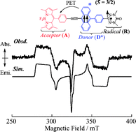 Graphical abstract: Design, synthesis, and uniquely electron-spin-polarized quartet photo-excited state of a π-conjugated spin system generated via the ion-pair state