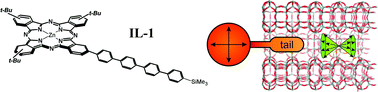 Graphical abstract: Novel phthalocyanine-based stopcock for zeolite L