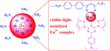 Graphical abstract: Luminescent europium nanoparticles with a wide excitation range from UV to visible light for biolabeling and time-gated luminescence bioimaging