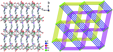 Graphical abstract: An unusual eight-connected self-penetrating ilc net constructed by dinuclear lanthanide building units